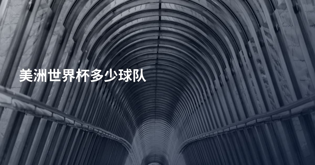 美洲世界杯多少球队