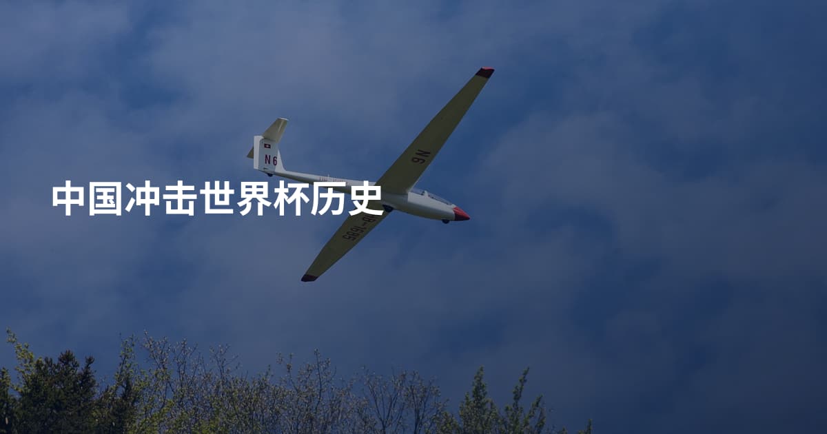 中国冲击世界杯历史