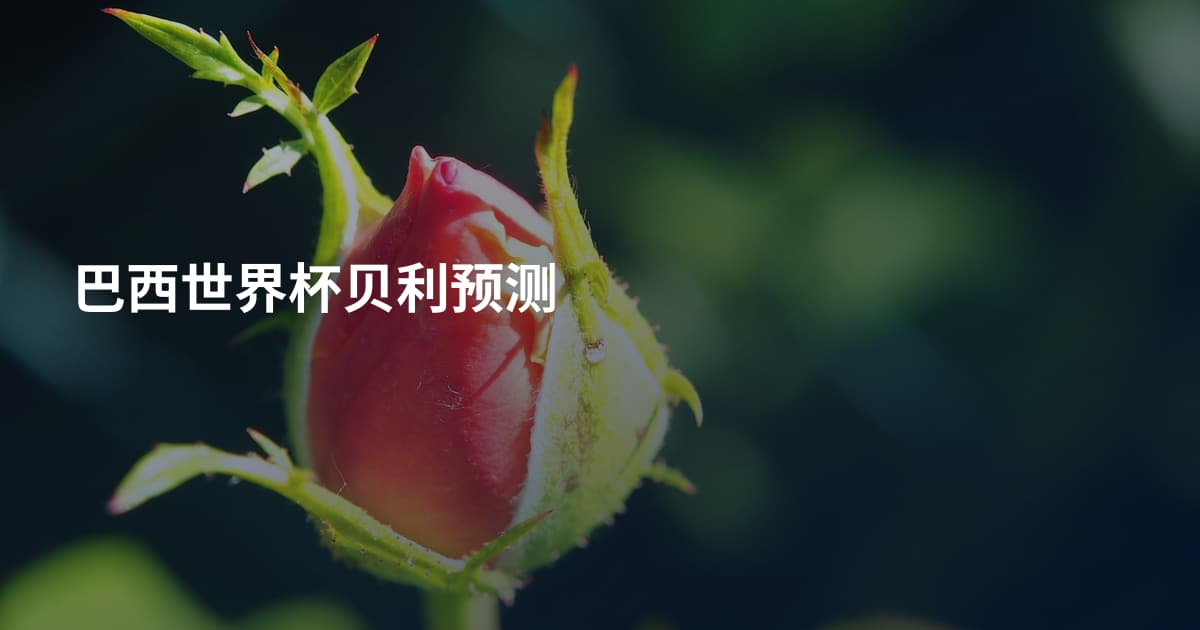 巴西世界杯贝利预测
