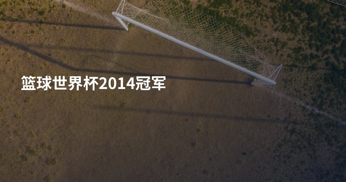 篮球世界杯2014冠军