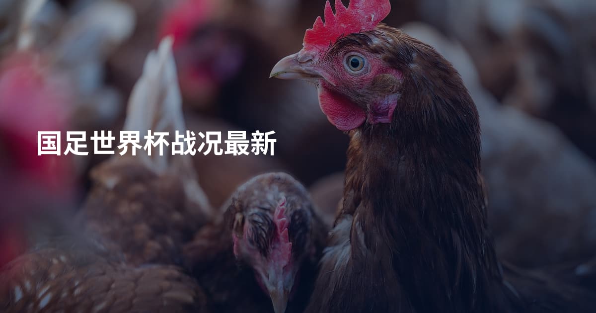 国足世界杯战况最新