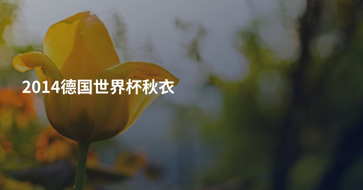 2014德国世界杯秋衣