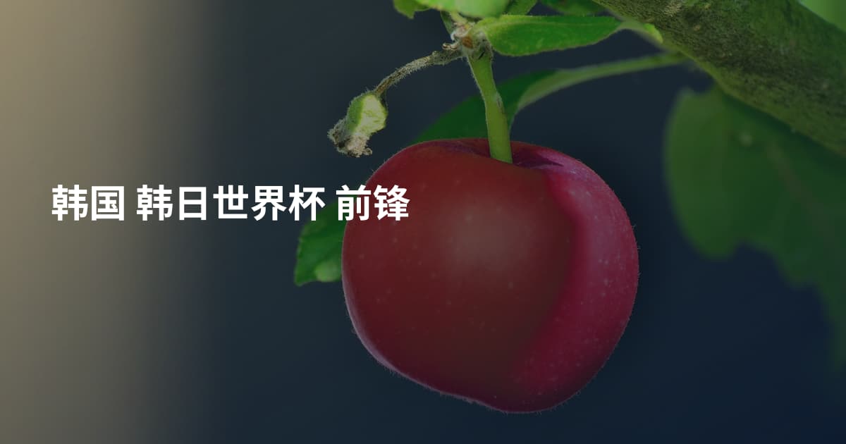 韩国 韩日世界杯 前锋