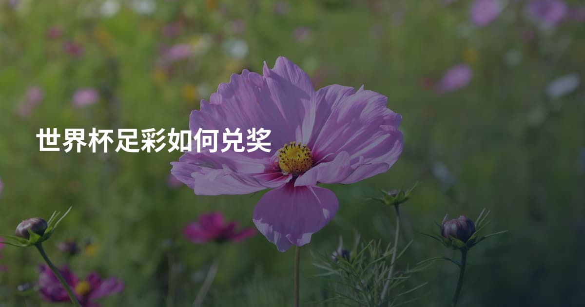 世界杯足彩如何兑奖