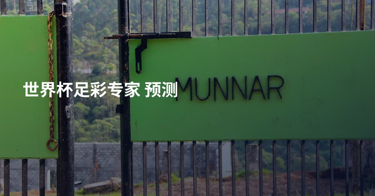 世界杯足彩专家 预测