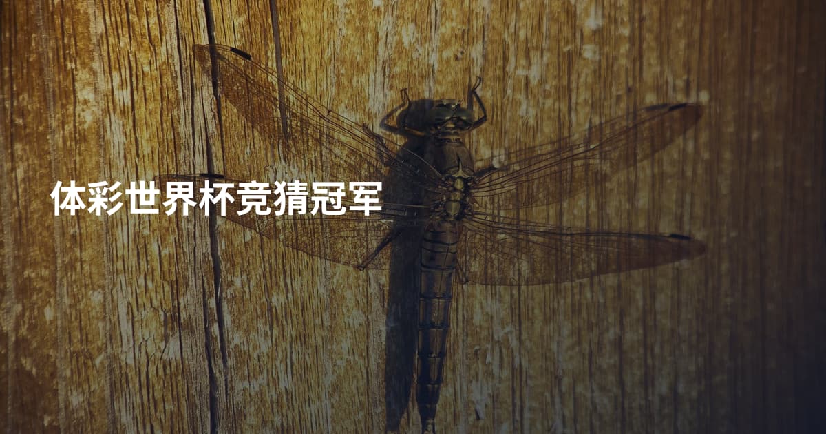 体彩世界杯竞猜冠军