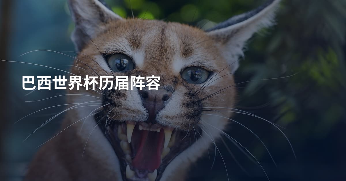 巴西世界杯历届阵容