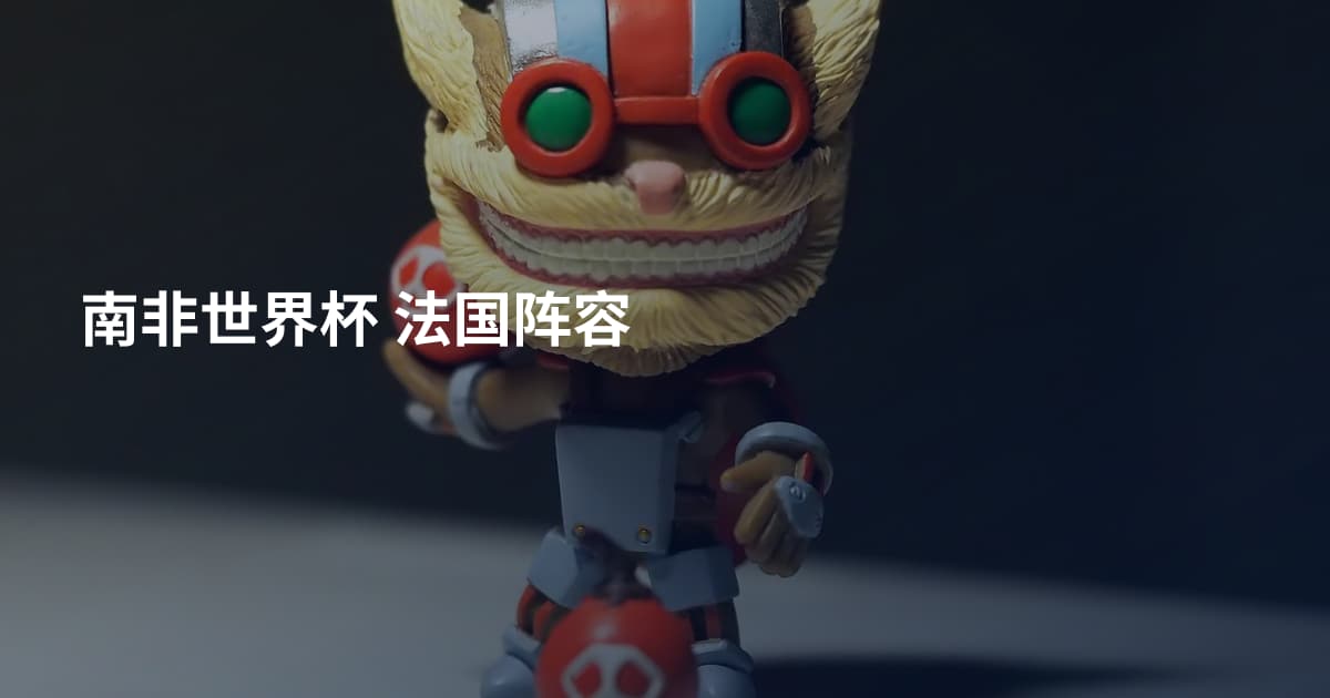 南非世界杯 法国阵容