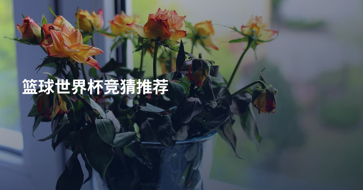 篮球世界杯竞猜推荐