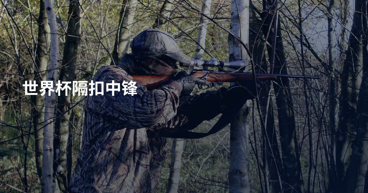 世界杯隔扣中锋