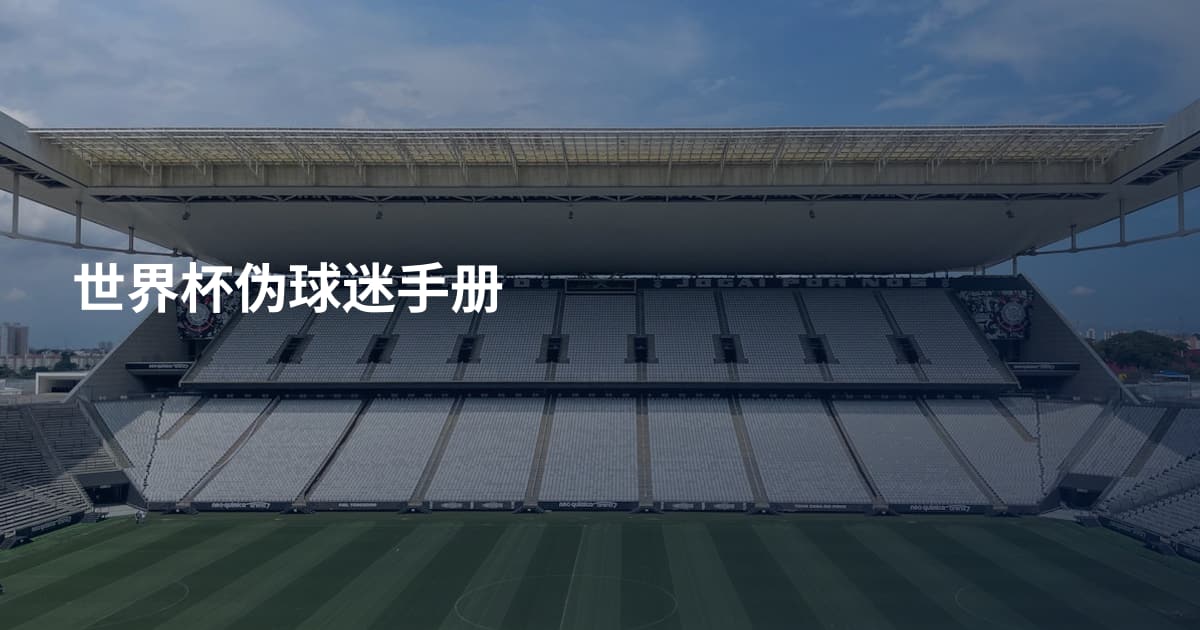 世界杯伪球迷手册