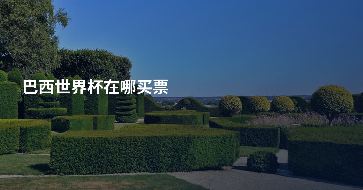 巴西世界杯在哪买票