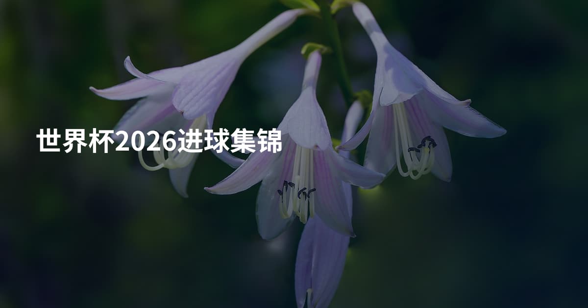 世界杯2026进球集锦
