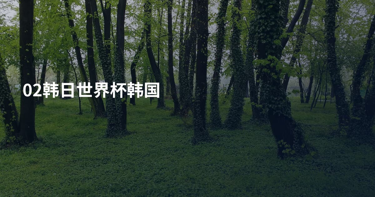 02韩日世界杯韩国