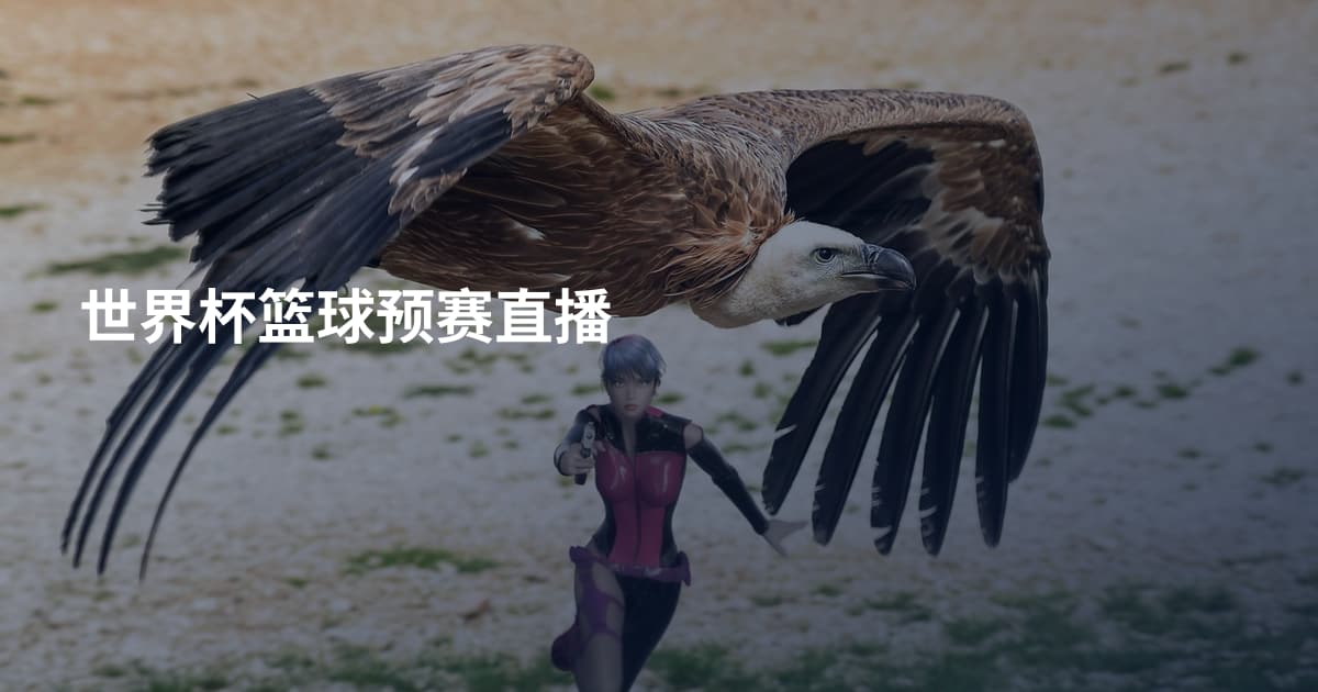 世界杯篮球预赛直播
