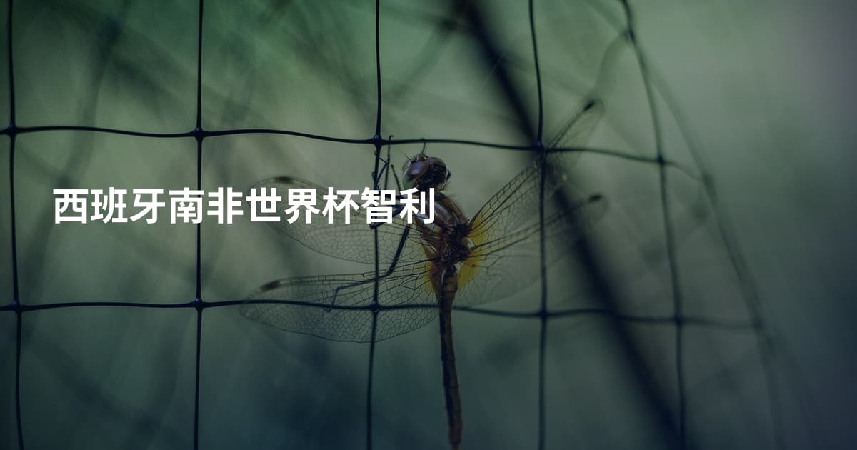 西班牙南非世界杯智利