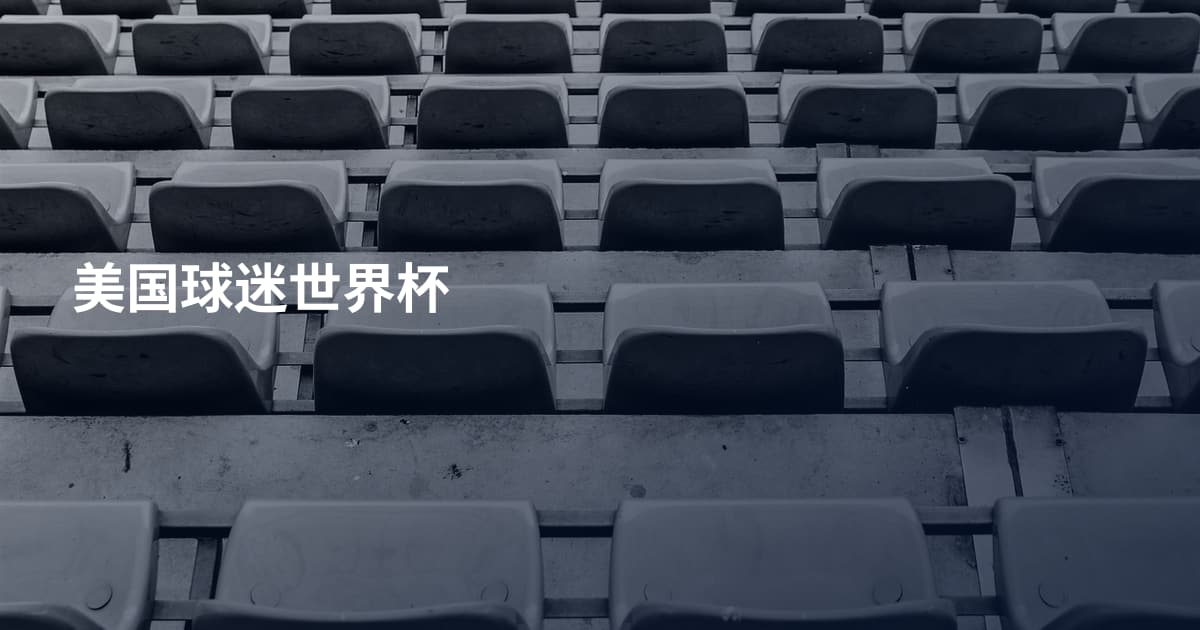 美国球迷世界杯