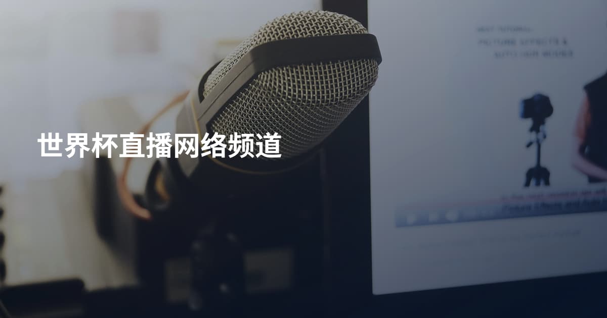 世界杯直播网络频道