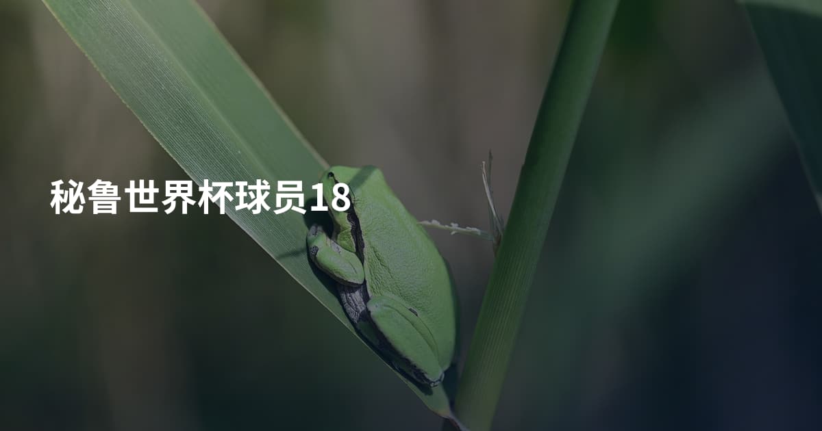 秘鲁世界杯球员18