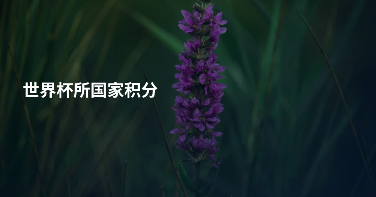 世界杯所国家积分