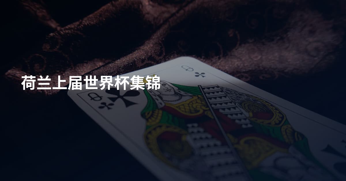 荷兰上届世界杯集锦