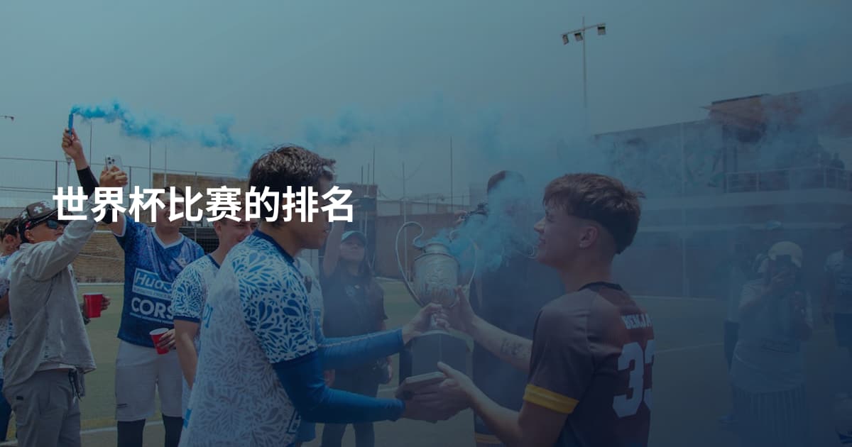 世界杯比赛的排名