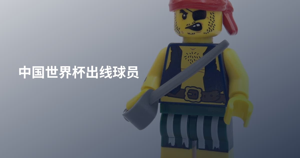 中国世界杯出线球员
