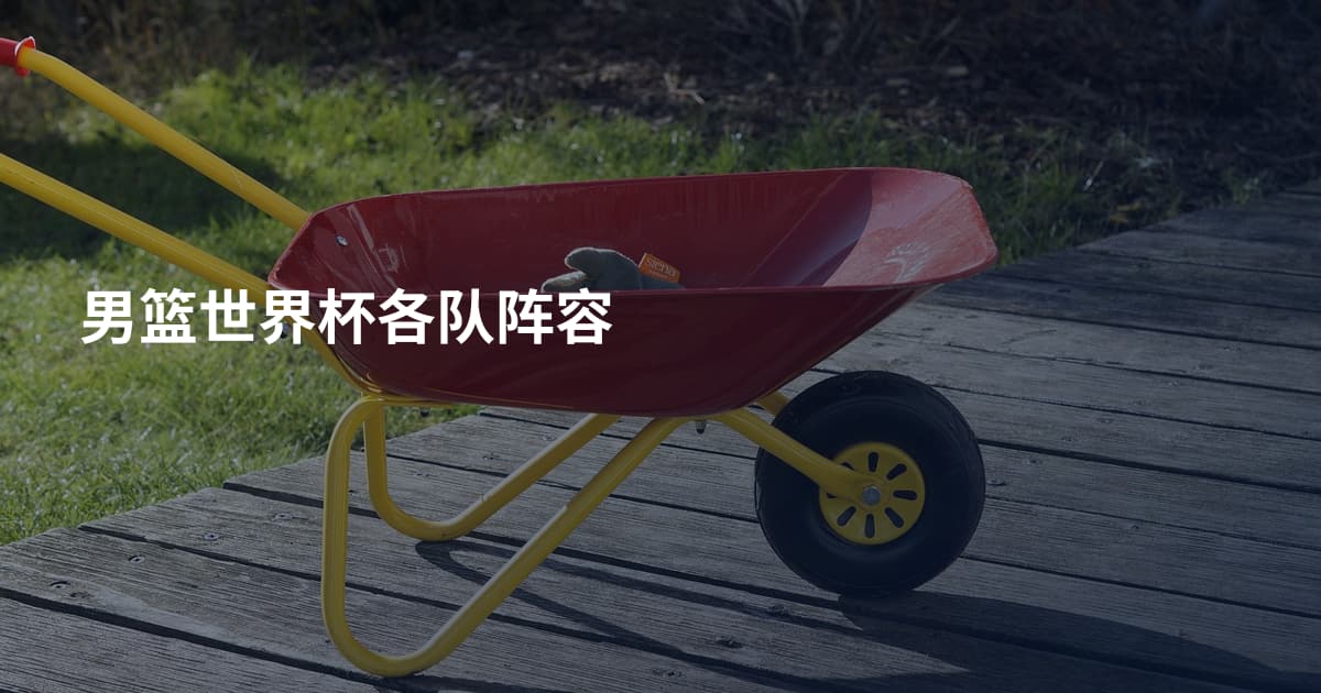 男篮世界杯各队阵容