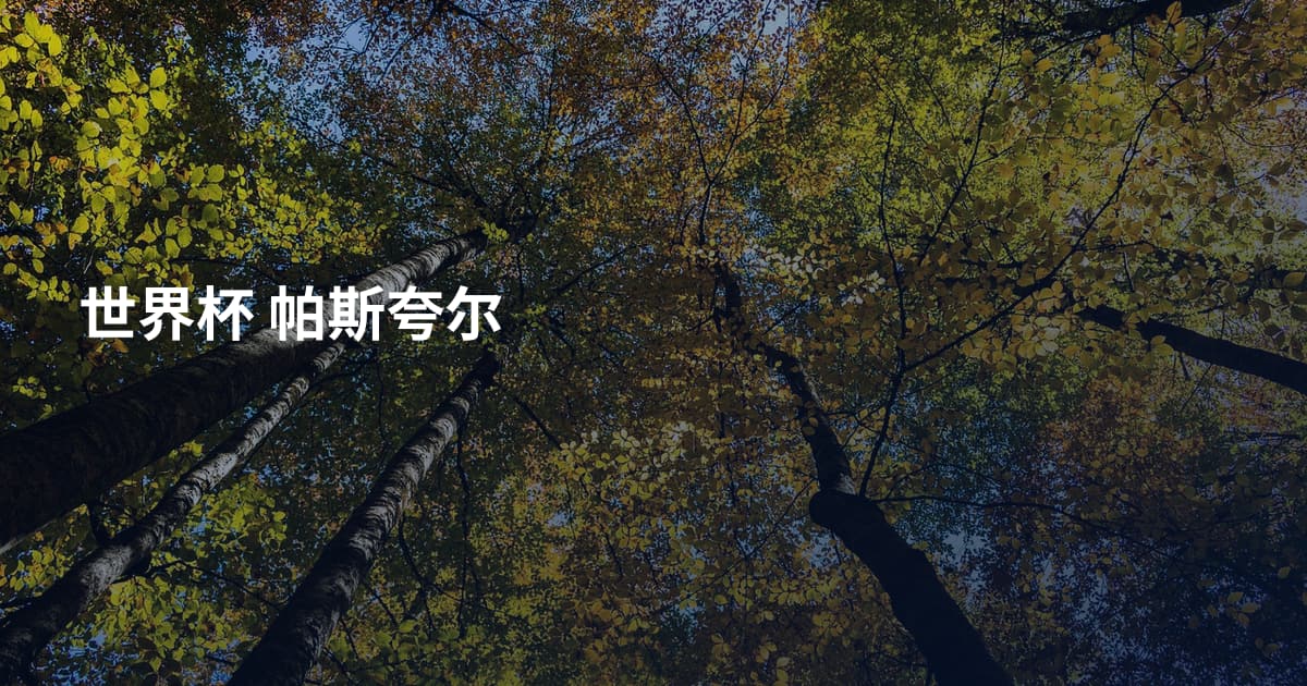 世界杯 帕斯夸尔
