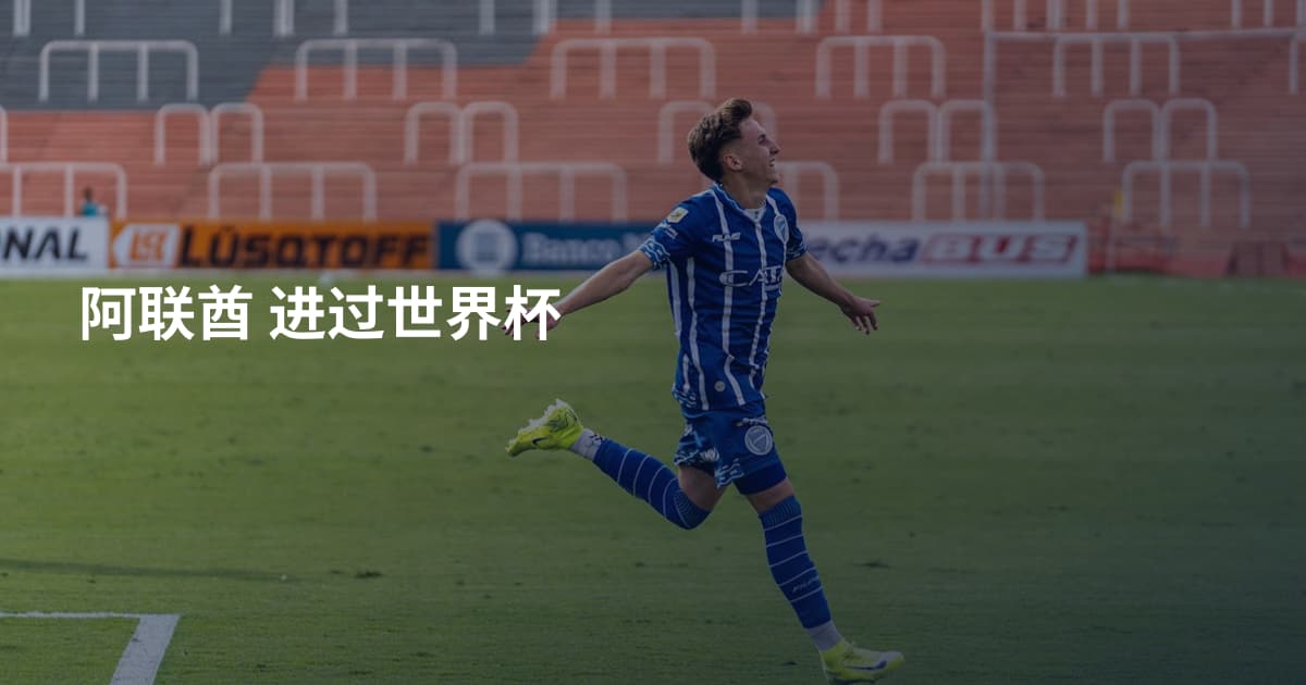 阿联酋 进过世界杯