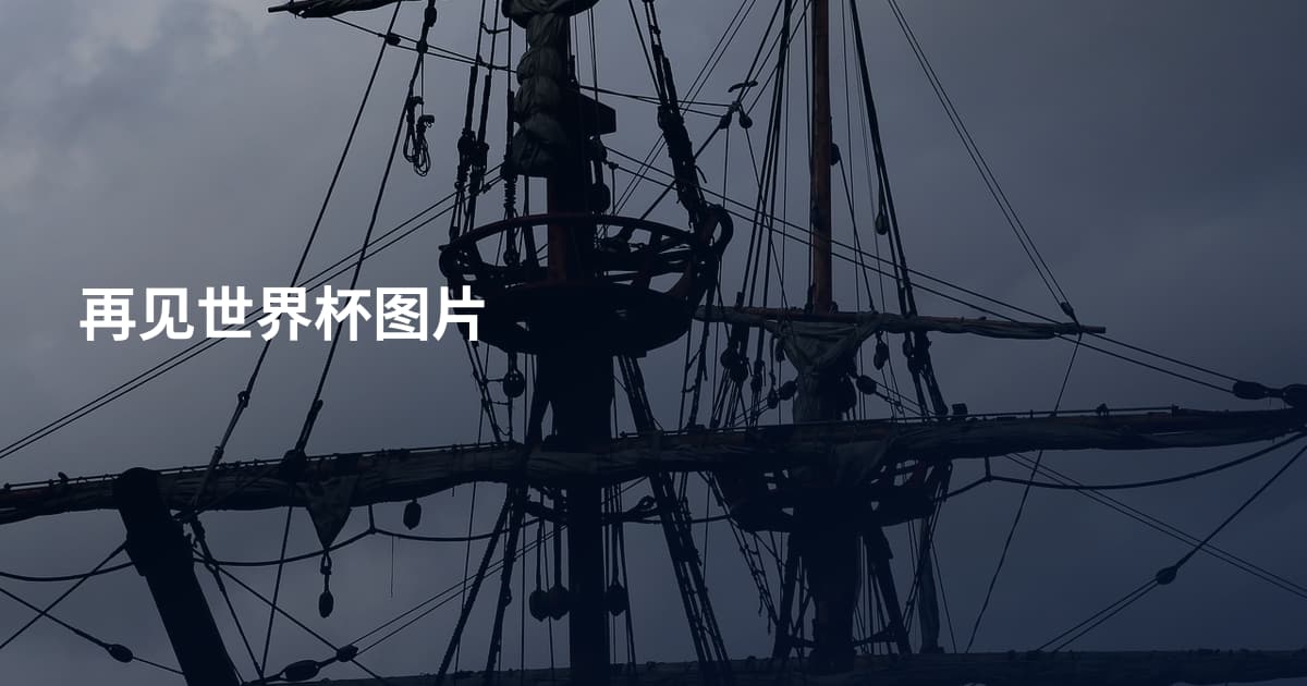 再见世界杯图片
