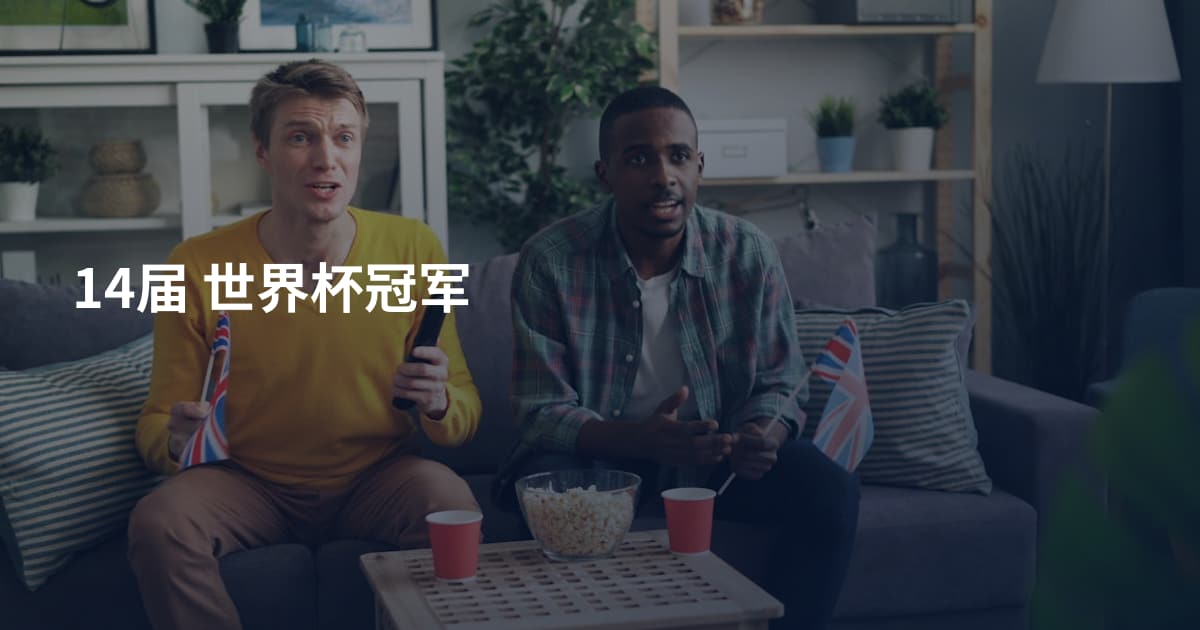 14届 世界杯冠军