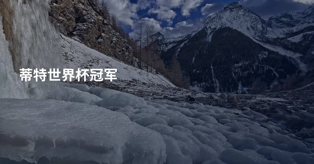 蒂特世界杯冠军