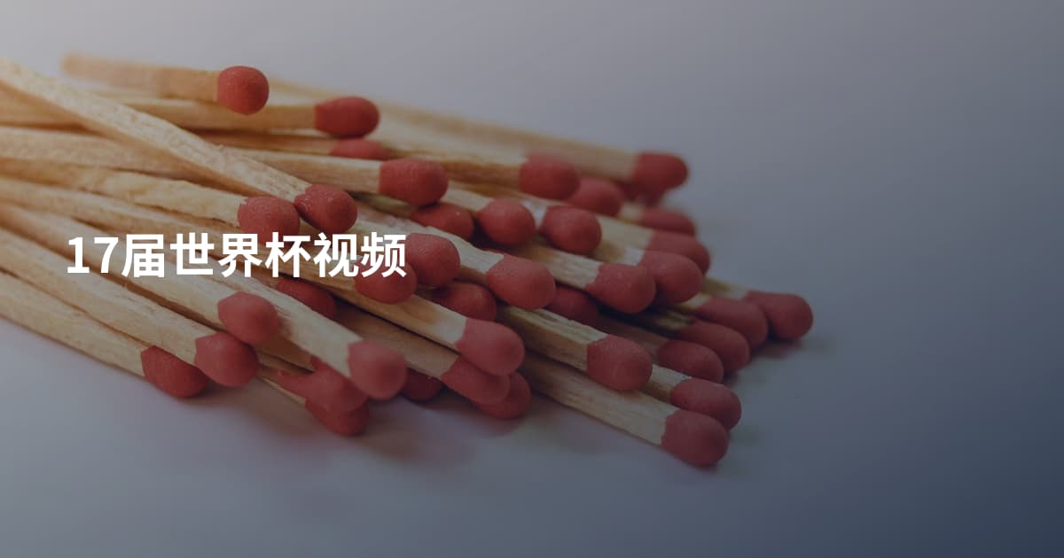 17届世界杯视频