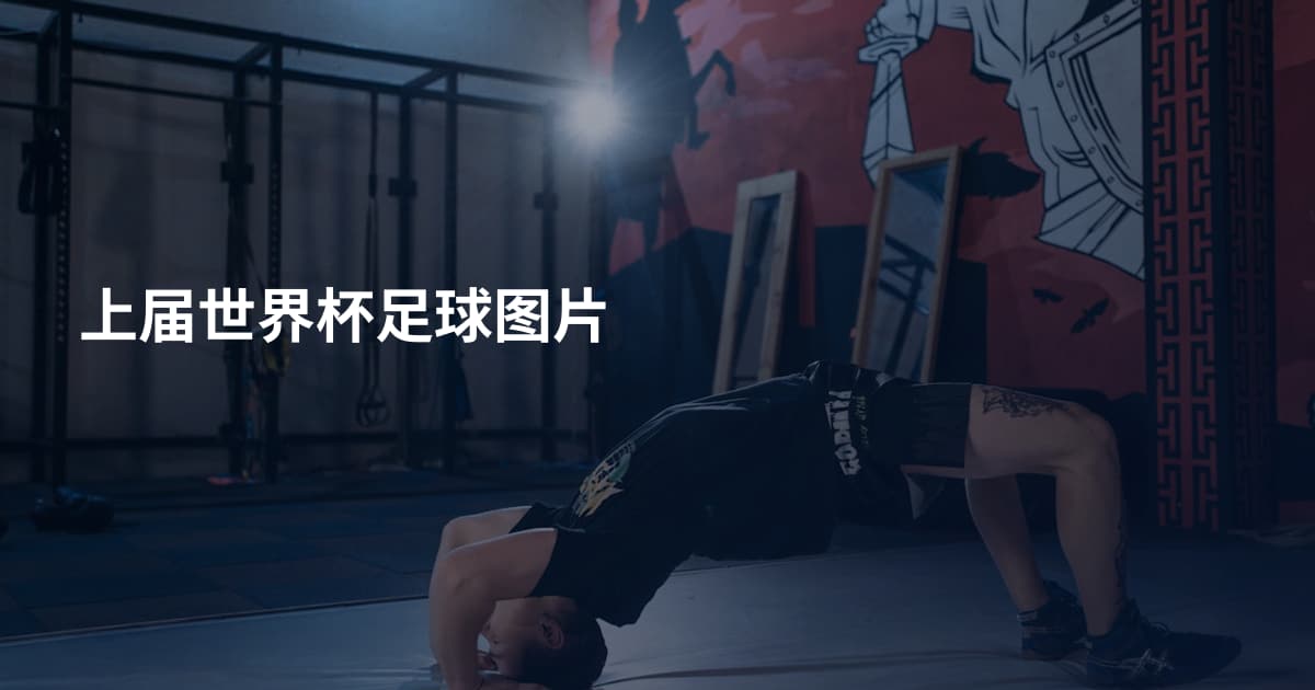 上届世界杯足球图片