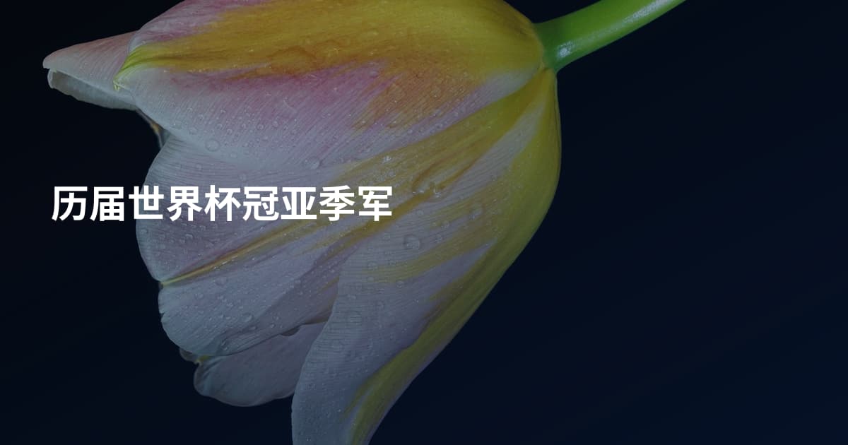 历届世界杯冠亚季军
