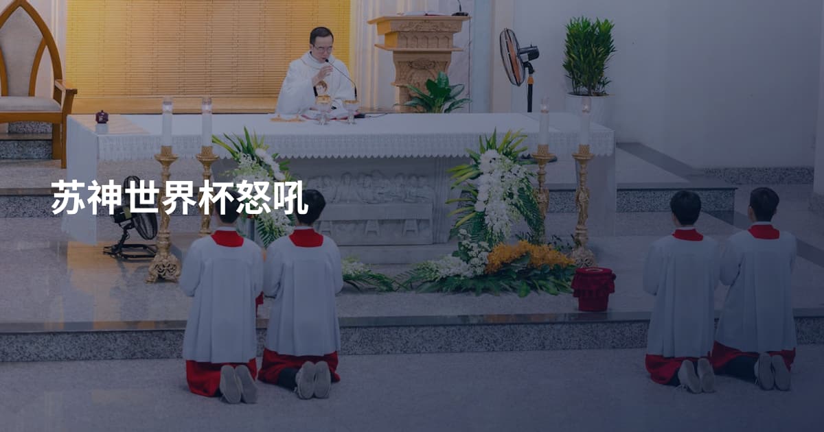 苏神世界杯怒吼