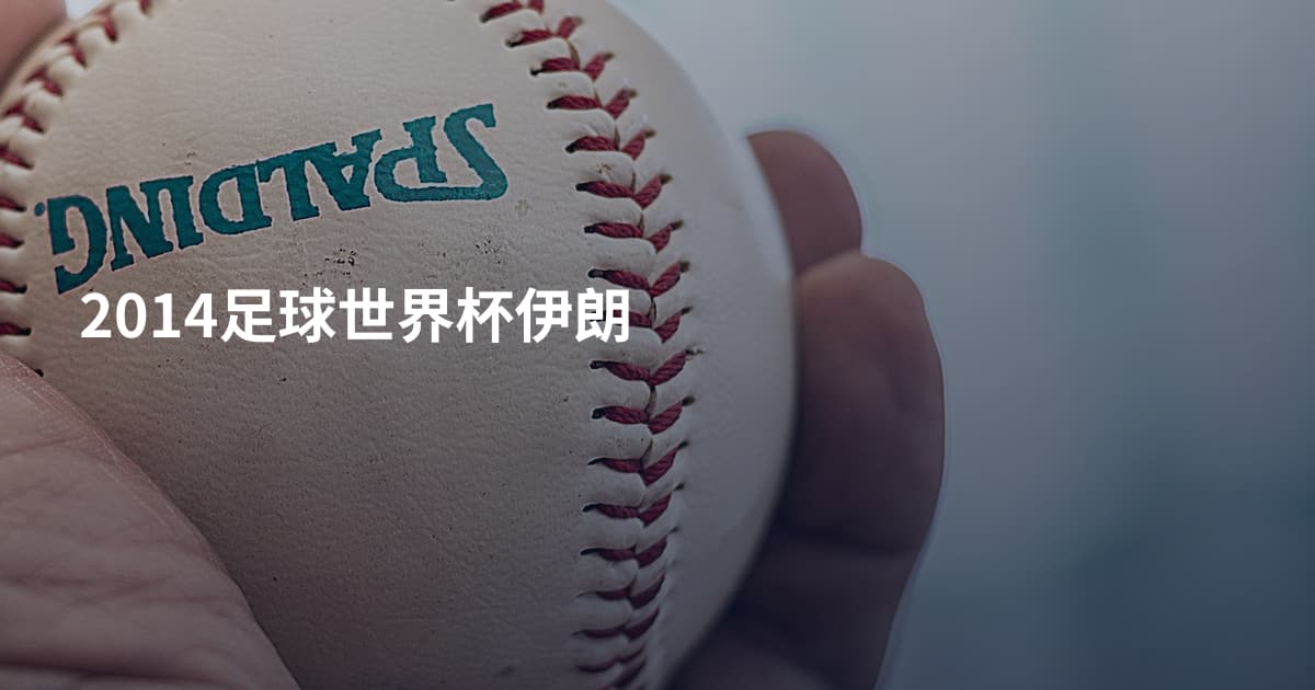 2014足球世界杯伊朗