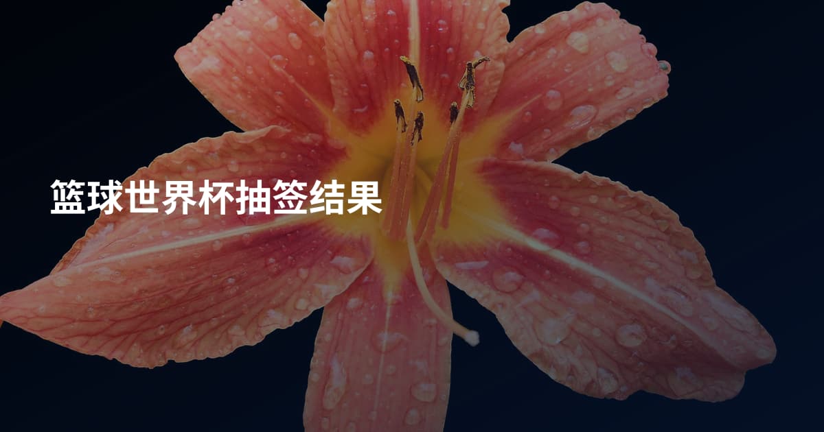 篮球世界杯抽签结果