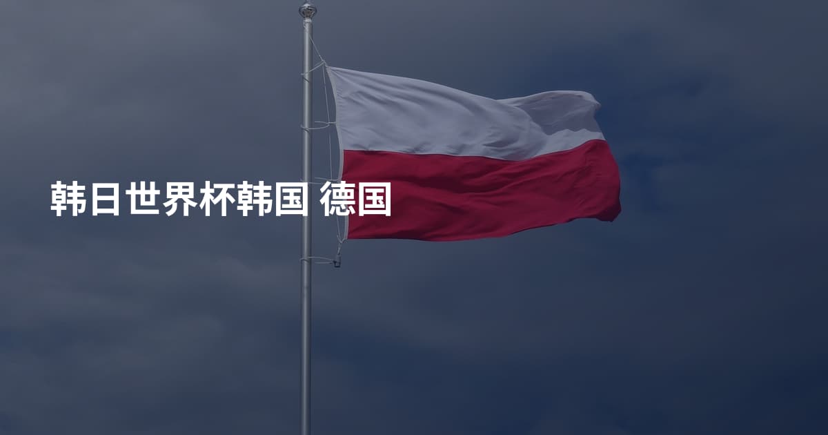 韩日世界杯韩国 德国