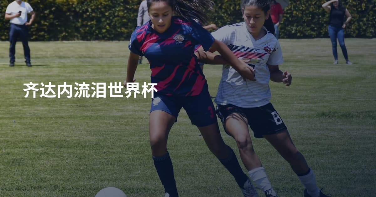 齐达内流泪世界杯