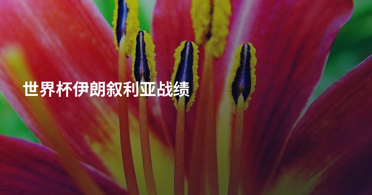 世界杯伊朗叙利亚战绩