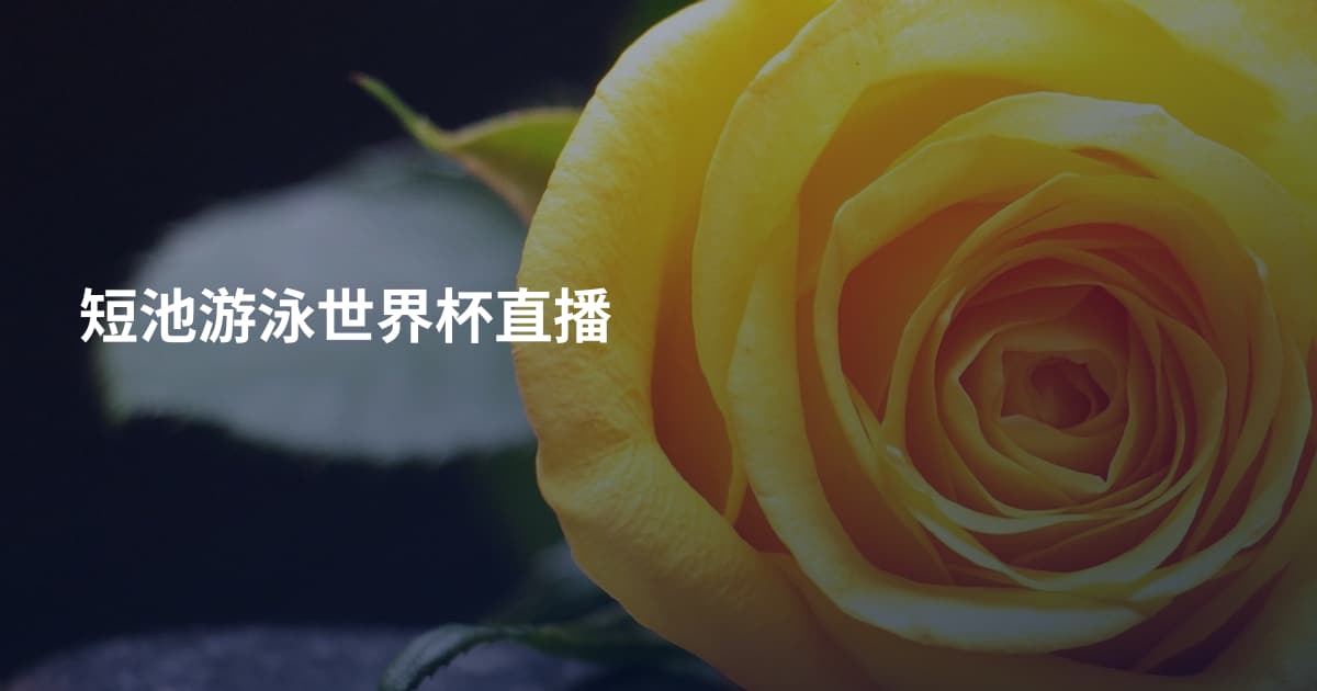短池游泳世界杯直播