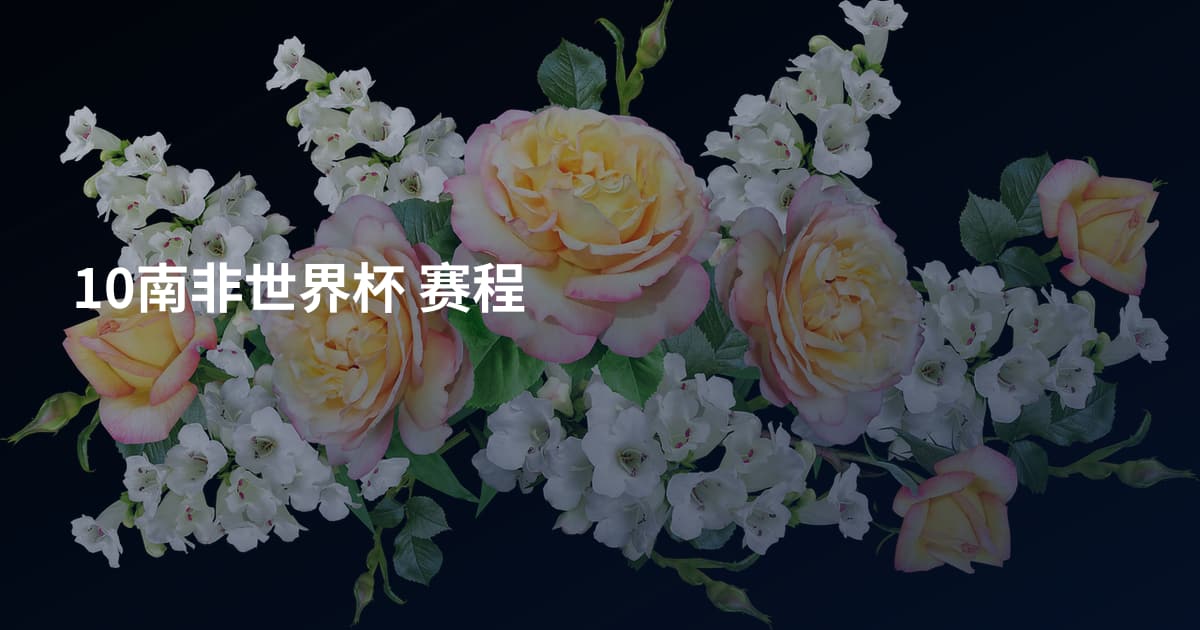 10南非世界杯 赛程