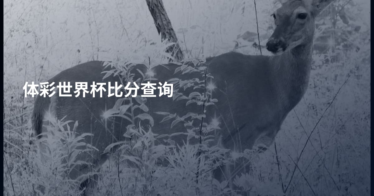 体彩世界杯比分查询
