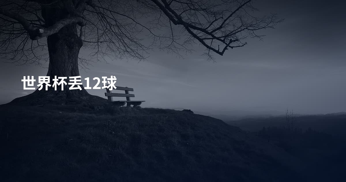 世界杯丢12球