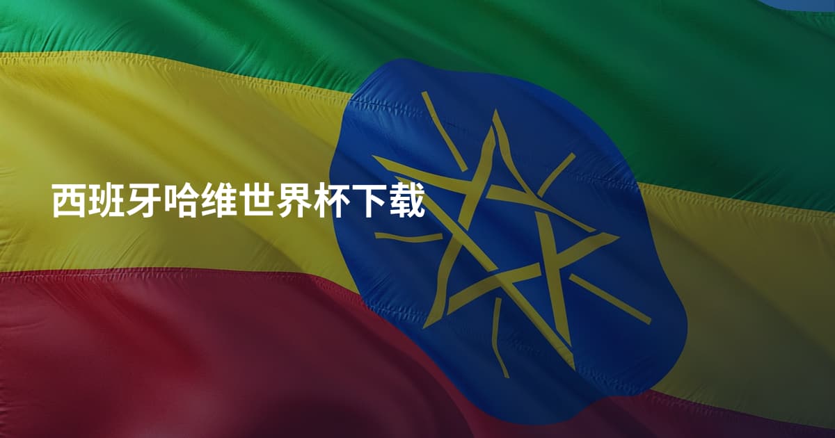 西班牙哈维世界杯下载