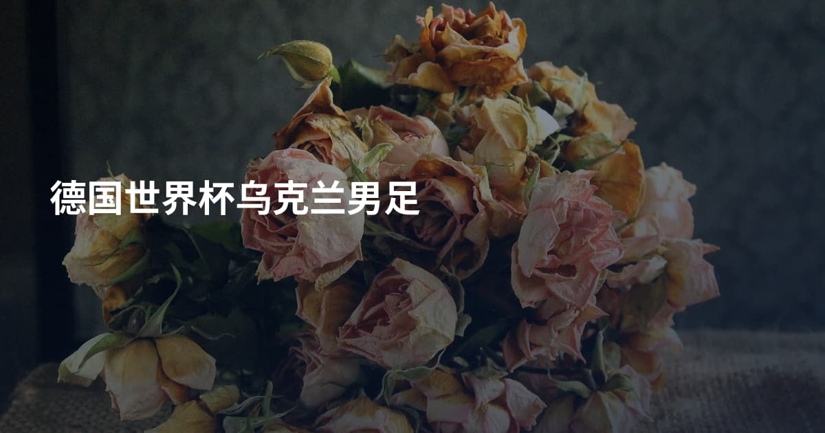 德国世界杯乌克兰男足