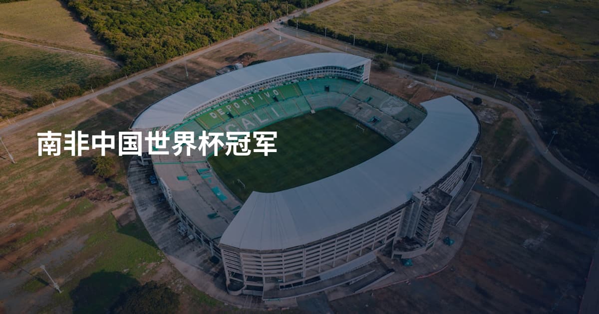南非中国世界杯冠军