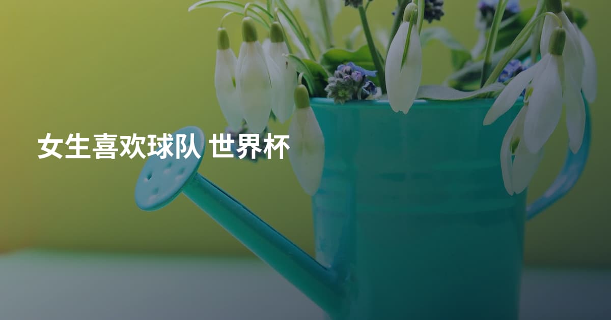 女生喜欢球队 世界杯